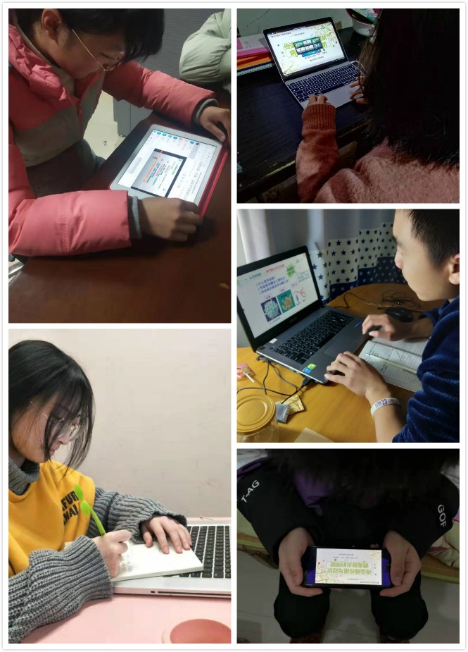 学生图片总.jpg